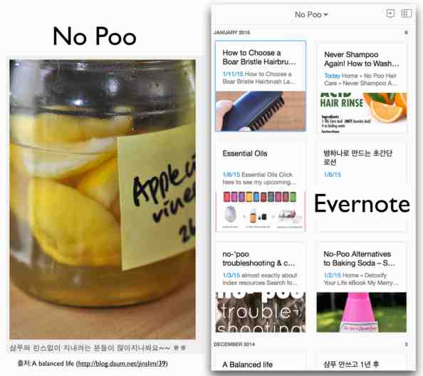 노푸 관련 온갖 정보, 제품, 피부타입, 두피타입, 일상의 스토리 등 끝없는 블로거들의 이야기와 체험이 이어져 있다. 왼쪽 이미지는 나에게 결정적 결심을 하게 해준 진진님의 블로그 이미지. 오른쪽은 검색 노동으로 찾아낸 블로그들을 모아놓은 나의 에버노트다.